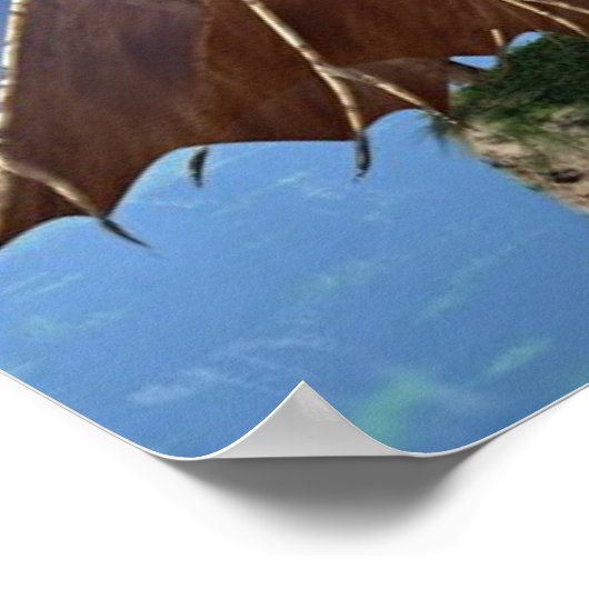 Twee werelden poster (Hoek)