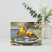 Twee Westerne Tanager-vogels staan in vogelbad Briefkaart (Staand voorkant)