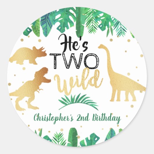 Twee Wild Dinosaur Boys 2e verjaardag Favor Ronde Sticker (Voorkant)
