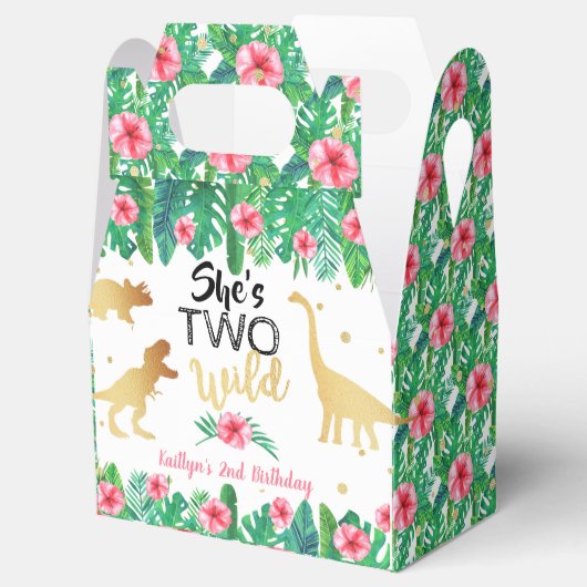 Twee Wild Dinosaur Girls 2e verjaardag Bedankdoosjes (Geopend)