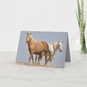 Twee Wild Mares Wild Horse Wenskaart Kaart