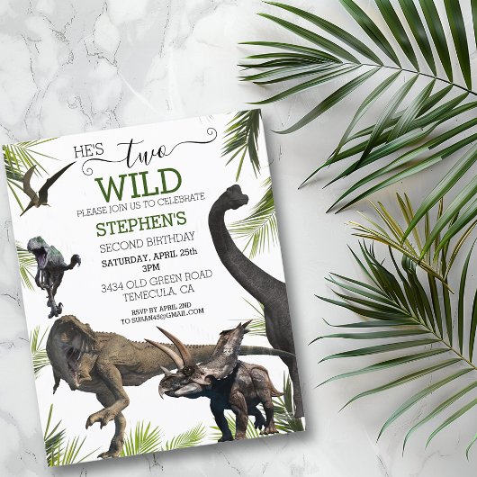 Twee Wilde Dinosaur Tyrannosaurus Roofdier Verjaar