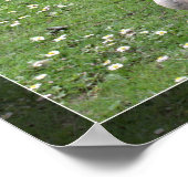 Twee wilde eenden op groen gras. Landschapsdier Poster (Hoek)