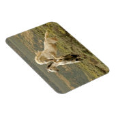 Twee wilde hengsten vechten magneet (Rechterzijde)