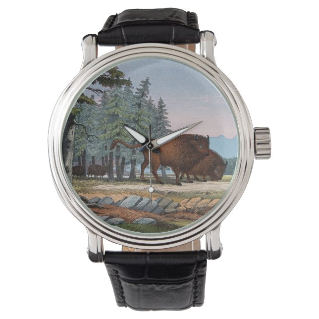 Twee wilde ossen. Gekleurde lithografie Horloge (Voorkant)