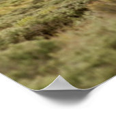 Twee Wilde Stallianties vechten Poster (Hoek)