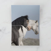 Twee wilde Stallions ontmoeten - Wenskaart voor wi Kaart (Binnen)