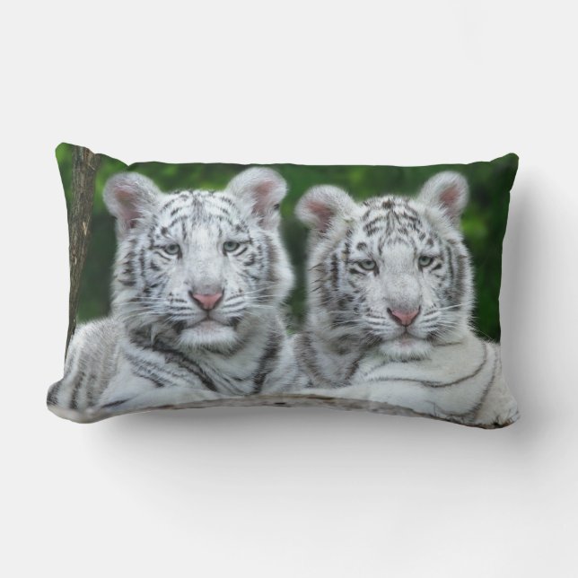 TWEE WIT-TIGER CUBS PILLOW KUSSEN (Voorkant)