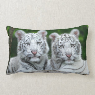 TWEE WIT-TIGER CUBS PILLOW KUSSEN