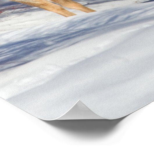 Twee Witstaartsloppenwijken in de winter Poster (Hoek)