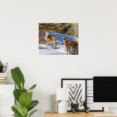 Twee Witstaartsloppenwijken in de winter Poster (Thuiskantoor)