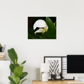 Twee Witte Calla Lelie Bloem Fotografisch Poster (Thuiskantoor)