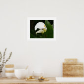 Twee Witte Calla Lelie Bloem Fotografisch Poster (Keuken)