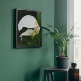 Twee witte Calla Lilies Floral Foto Afdruk
