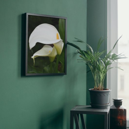 Twee witte Calla Lilies Floral Foto Afdruk