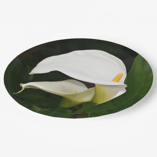 Twee witte Calla Lilies Floral Papieren Bordje (Gekanteld)