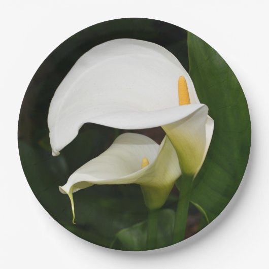 Twee witte Calla Lilies Floral Papieren Bordje (Voorkant)