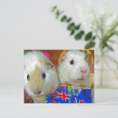 Twee witte cavia's briefkaart (Staand voorkant)