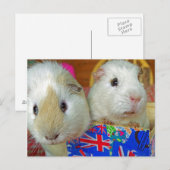 Twee witte cavia's briefkaart (Voorkant / Achterkant)