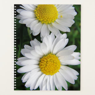 Twee witte dageraad planner