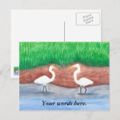 Twee Witte Egrets Grassy Shore Briefkaarten Sjablo (Voorkant / Achterkant)