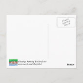 Twee Witte Egrets Grassy Shore Briefkaarten Sjablo (Achterkant)