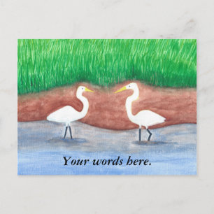 Twee Witte Egrets Grassy Shore Briefkaarten Sjablo