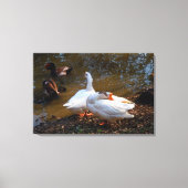 twee witte ganzen en twee mandarijneenden canvas afdruk (Voorkant)
