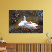 twee witte ganzen en twee mandarijneenden canvas afdruk (Insitu (Woonkamer))