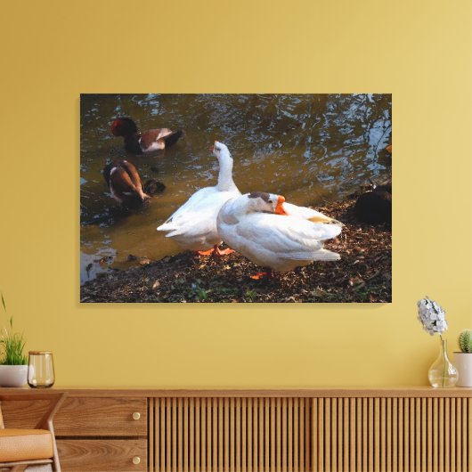twee witte ganzen en twee mandarijneenden canvas afdruk (Insitu (Woonkamer))