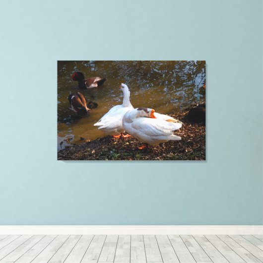 twee witte ganzen en twee mandarijneenden canvas afdruk (Insitu (Houten vloer))