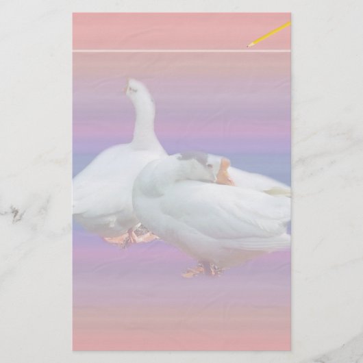 twee witte ganzen tegen fancy achtergrond briefpapier (Voorkant)