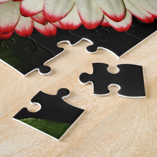 Twee witte Gerbera Daisies Legpuzzel (Zijkant)