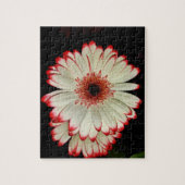 Twee witte Gerbera Daisies Legpuzzel (Verticaal)