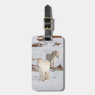 Twee witte IJslandse paarden Bagagelabel