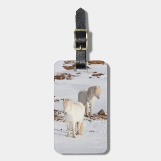 Twee witte IJslandse paarden Bagagelabel (Voorkant verticaal)
