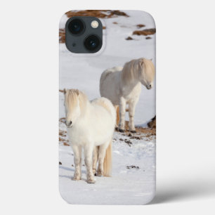 Twee witte IJslandse paarden Case-Mate iPhone Case