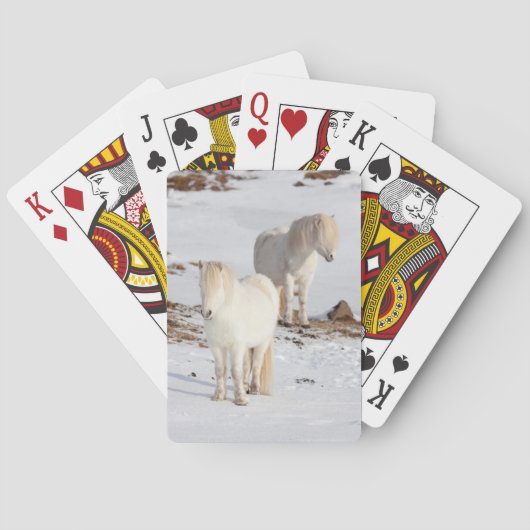 Twee witte IJslandse paarden Speelkaarten (Achterkant)