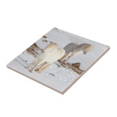 Twee witte IJslandse paarden Tegeltje (Zijkant)