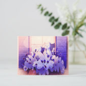 Twee witte katten zitten aan het raam bij de zonso briefkaart (Staand voorkant)