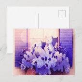 Twee witte katten zitten aan het raam bij de zonso briefkaart (Voorkant / Achterkant)