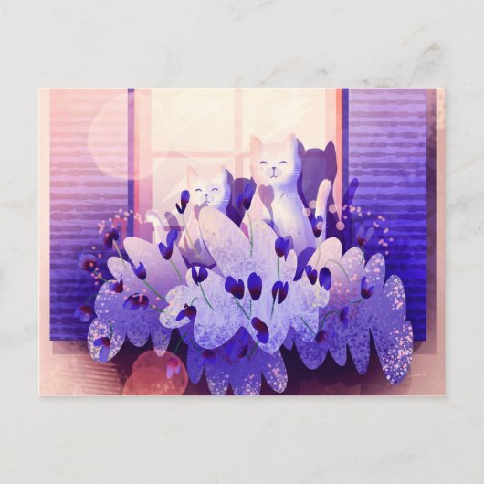 Twee witte katten zitten aan het raam bij de zonso briefkaart (Voorkant)