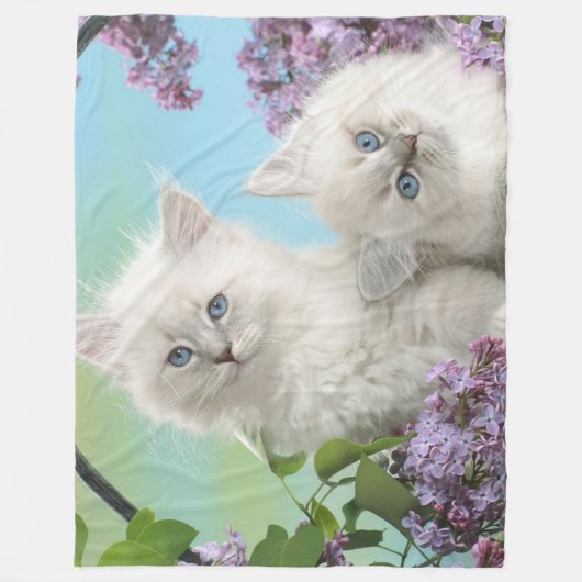 TWEE WITTE KITTENS FLEECE DEKEN (Voorkant)