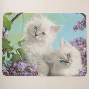TWEE WITTE KITTENS SHERPA DEKEN