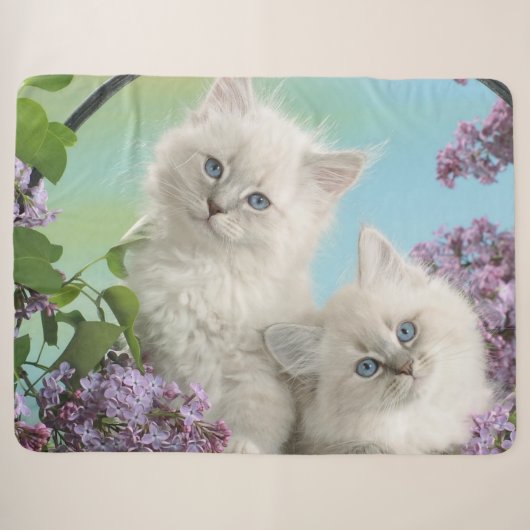 TWEE WITTE KITTENS SHERPA DEKEN (Voorkant (horizontaal))
