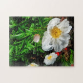 Twee witte klaprozen legpuzzel (Horizontaal)