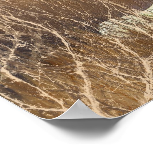 Twee witte luiers - samen fijn Poster/afdrukken Poster (Hoek)