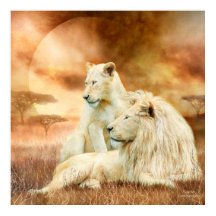 Twee witte luiers - samen fijn Poster/afdrukken