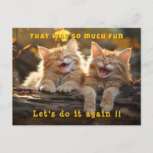 Twee witte oranje grappige lachende katten briefkaart (Voorkant)