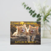 Twee witte oranje grappige lachende katten briefkaart (Staand voorkant)